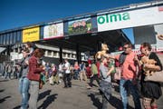 Gratis an die Olma? Der Rechtsexperte sagt Nein. (Bild: Ralph Ribi)