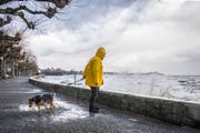 Der Sturm "Burglind" fegte Anfang Januar über die Schweiz. (Bild: Urs Bucher)