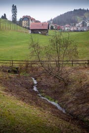 Das Projekt für die Bachoffenlegung im Tal der Demut verzögert sich. Der Bach im Vordergrund beim Sportplatz der Gewerbeschule soll in Richtung St.Georgen (Hintergrund) geöffnet werden. (Bild: Ralph Ribi)