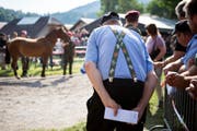 Die Thurgauer Behörden prüfen eine weitere Auktion der Pferde vom umstrittenen Hof in Hefenhofen. (Bild: ANTHONY ANEX (KEYSTONE))