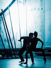 Liebe ist körperlich, das wird in allen drei Tanzstücken deutlich. (Bild: Theater St. Gallen/Ian Whalen)