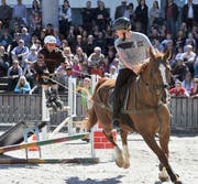 Die Pferde sind wieder die heimlichen Stars der Offa. (Bild: PD)
