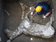 Der Abdruck des Pferdes wurde in voller Grösse entdeckt. (Bild: KEYSTONE/EPA ANSA/CESARE ABBATE)