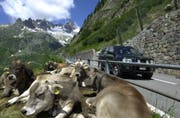 Der Töfffahrer fuhr am Sustenpass über die Sicherheitslinie. (Archiv UZ)