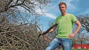 Landwirt Fabian Vollenweider hat einige Asthaufen als Quartiere für Wildbienen aufgebaut.