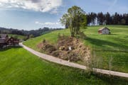 Die Baumgruppe wurde nach Sturmschäden abgeholzt. (Bild: Michel Canonica)