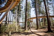 Der Pfad ist über 500 Meter lang. (Bild: Mareycke Frehner)
