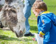 Anfang April war im Tierpark Kreuzlingen Tag der offenen Tür. (Bild: Andrea Stalder)