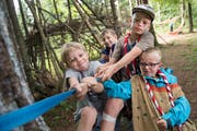 Sommerlager 2017 in Rickenbach: Wölfli-Mitglieder der Pfadi Pulverturm Ebikon versuchen, das Küchenzelt aufzustellen. Bild: Boris Bürgisser