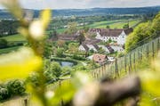 Die Kartause Ittingen, gesehen von der Kapelle oberhalb. (Bild: Reto Martin)