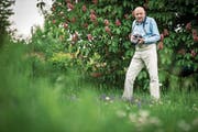 Immer mit der Kamera unterwegs: Schmetterling-Experte Manfred Hertzog. (Bild: Reto Martin)