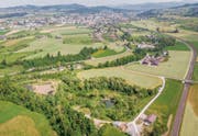Das Biotop Espel am Rand von Gossau soll von Pro Natura bis Ende 2019 saniert werden. (Bild: Urs Bucher)