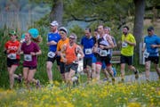 Laufbegeisterte am Sempachersee. (Bild: PD)