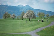 Die Hochstammobstbäume auf dem Golfareal bleiben stehen und werden weiterhin gepflegt. (Bild: Dominik Wunderli (Meggen, 24. April 2018))
