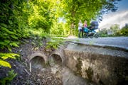 Das trockene Bachbett scheint harmlos. Schlimmstenfalls könnte es aber ein ganzes Quartier überschwemmen. (Bild: Urs Bucher)