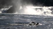 Ernst Bromeis schwimmt am Rheinfall. (Bild: PD)