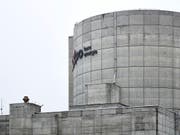 Wegen der Stillstände der Kernkraftwerke Beznau und Leibstadt haben die Schweizer Kernkraftwerke 3,6 Prozent weniger Strom produziert. (Archivbild) (Bild: KEYSTONE/CHRISTIAN BEUTLER)