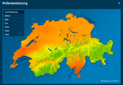 Die aktuelle Pollenbelastung an Auffahrt. (Bild: Screenshot SRF)