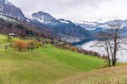 Das Gebiet Teufibalm oberhalb von Vitznau. (Bild: Roger Grütter)