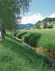 «Schön, wenn Kinder wieder am Wasser götschen könnten», sagt Christian Sepin, Gemeindepräsident von Au, zum geplanten Naturpark Kobel. (Bild: Kurt Latzer)