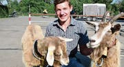 Jungzüchter Kilian Appert posiert mit Colina und Eika, zwei Toggenburgern. (Bild: Werner Lenzin)