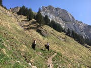 Rund zwei Stunden dauerte die Wanderung vom Berggasthaus Alp Rohr auf den Hohen Kasten. (Bild: PD)