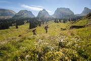 Die Landschaft im Toggenburg lädt zum Wandern ein. Erlebt der Gast einen tollen Tag, erzählt er es weiter und macht so beste Werbung. (Bild: PD)