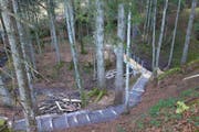 Moorschutz und ehrenamtlicher Einsatz: Die Jury zeichnete die Verlegung eines Teilstücks des Wanderwegs Wolzenalp-Ijental aus. (Bild: PD)