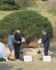 Kim Jong Un (links) und Moon Jae In beim Pflanzen eines Baums. (Bild: (AP))