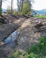 Der kanalartige Pfählmadgraben zwischen Oberriet und Altstätten wurde 2017 auf einer Länge von rund 300 Metern zu einem naturnahen Gewässer umgebaut. (Bild: pd)
