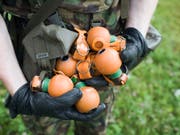 Handgranaten "Made in Switzerland" würden kistenweise in Syrien und in den Händen von Terroristen des Islamischen Staates landen, kritisiert Campax. Im Bild hält ein Rekrut Übungshandgranaten in den Händen. (Bild: Keystone/MARTIN RUETSCHI)