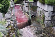 Der Dorfbach war nicht nur mit Metzgereiabfällen, sondern auch mit Fäkalien verunreinigt. | Leserbild