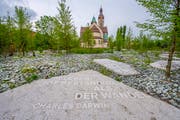 © Urs Bucher/TAGBLATT