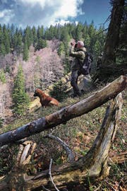 Wildhüter Urs Büchler und seine Hündin Luna im Auerhuhngebiet. (Bild: Sabrina Stübi)