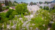 Blick ins Pärklein neben dem Naturmuseum: Pro Natura kritisiert unter anderem die Bodenstruktur und die ausgewählten, teils exotischen, Pflanzenarten. © Urs Bucher/TAGBLATT