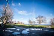 Die Bunkerwiese im Hafen Romanshorn ist immer wieder Thema politischer Debatten. (Bild: Reto Martin)