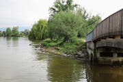 Das Steinacher Seeufer, rechts die Brücke über die Aach. In diesem Gebiet verlangen Vogelschützer Informationstafeln. (Bild: Martin Rechsteiner)