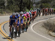 Das Feld bei der Kalifornien-Rundfahrt (Bild: KEYSTONE/AP/MARK J. TERRILL)
