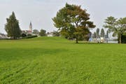 Die Stadt will die Bunkerwiese zur Bauzone schlagen. (Bild: Reto Martin)