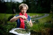 Judith Felder präsentiert in ihrem Garten die getrockneten Weissdorn-Blüten. Bild: Stefan Kaiser (Menzingen, 14. Mai 2018)