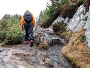 Den Einstieg zur Wanderung zum Gipfel des Sukkertoppen ist leicht zu übersehen. (Bild: Marlen Hämmerli)