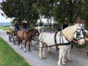 Eine Familientradition: Mehrmals in der Woche macht die Familie Ammann Ausfahrten mit der Kutsche. (Bild: PD)
