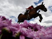 Die Schweizer Springreiter wollen in St. Gallen hoch hinaus (Bild: KEYSTONE/GIAN EHRENZELLER)