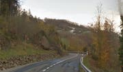 Die Steinerbergstrasse. Bild: Google Maps