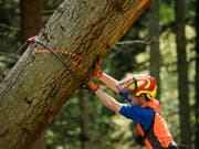 Förster und Bauern arbeiten in der Schweiz am längsten pro Woche. Dies zeigt eine neue Statistik. (Bild: KEYSTONE/GIAN EHRENZELLER)