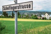 Die Scheitingerwiese: Beste Lage mit Blick auf den Untersee. (Bild: Reto Martin)