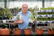 1/4: Markus Kobelt ist der bekannteste Onlineversand-Gärtner der Schweiz. (Bilder: Ralph Ribi)