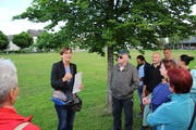 Monique Trummer präsentiert den Stadtbaum. (Bild: Adrian Lemmenmeier)