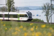 Ein Thurbo-Zug fährt dem Bodensee entlang. (Bild: Ralph Ribi)