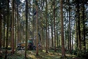 Waldarbeiten mit einem Harvester. (Symbolbild LZ, Pius Amrein, März 2014)
